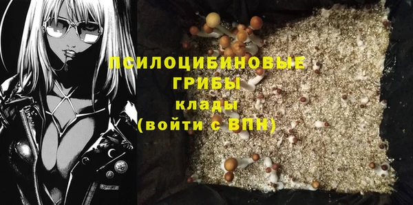 винт Балахна