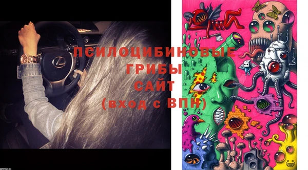 тгк Баксан