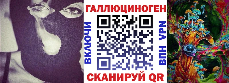 Купить  Верхняя Салда  Псилоцибиновые грибы Cubensis 