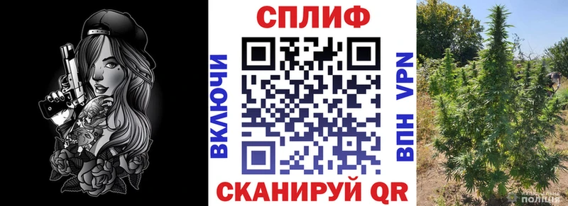 Каннабис конопля Верхняя Салда